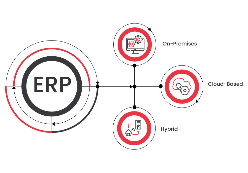 Types of ERP